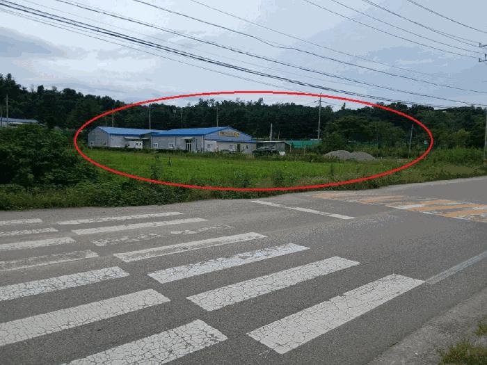 사진 03