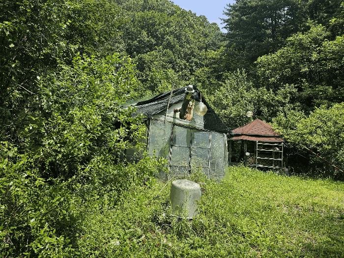 사진 08
