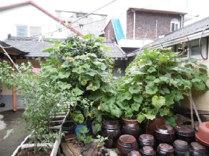 사진 08