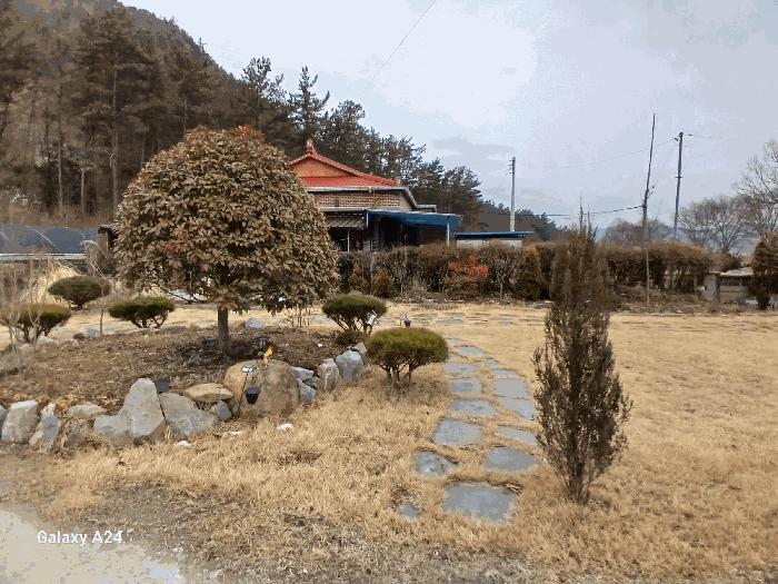사진 05