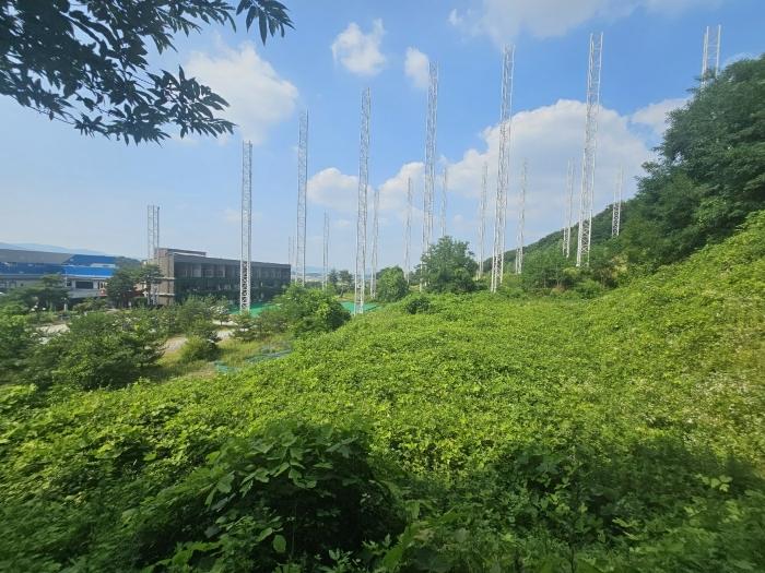 사진 06