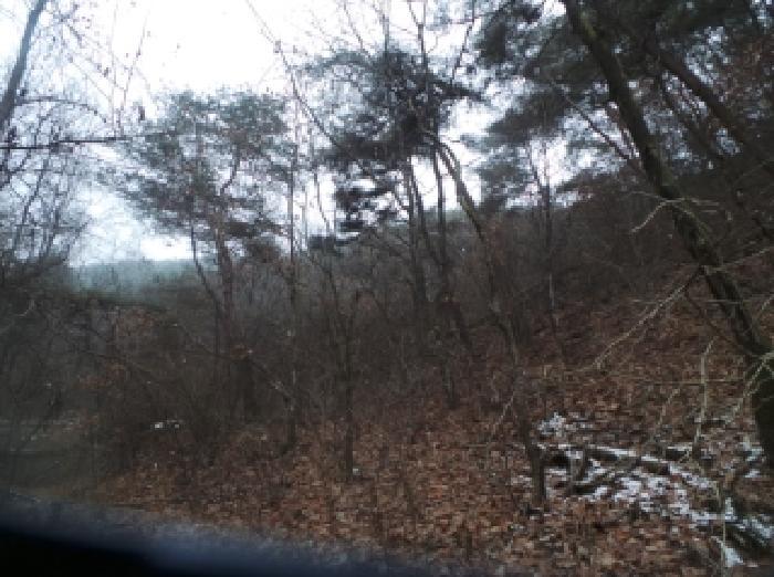 사진 06