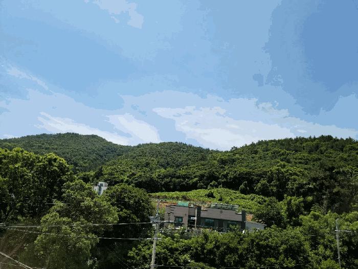 사진 04