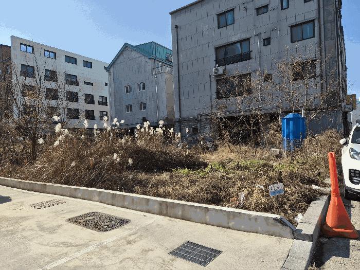 사진 03