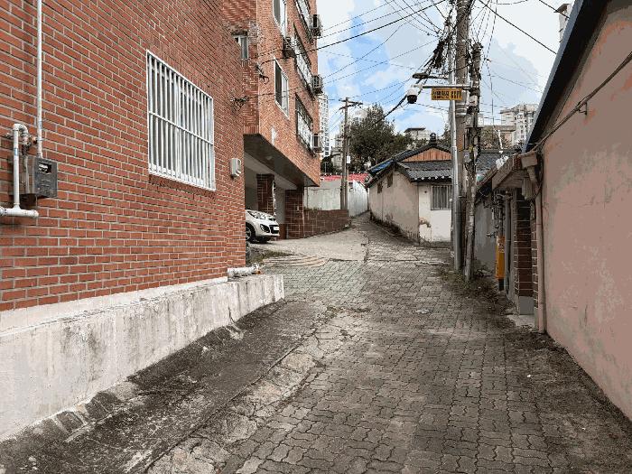 사진 03
