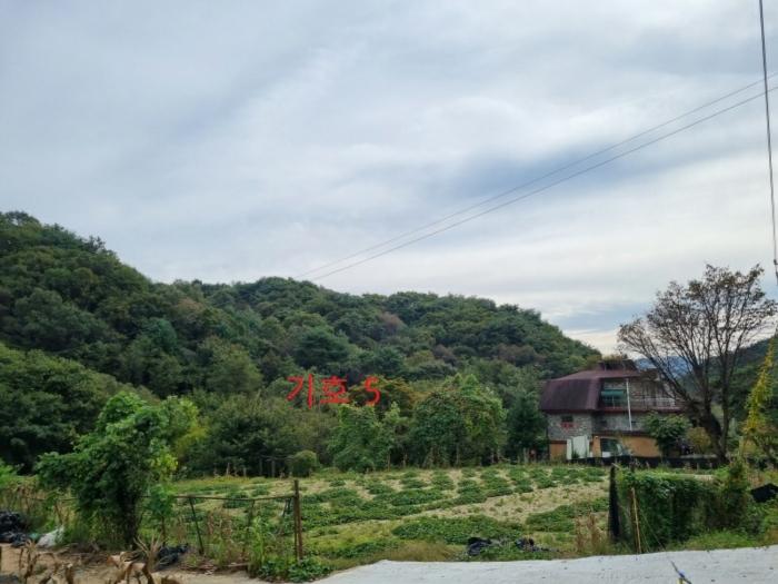 사진 05