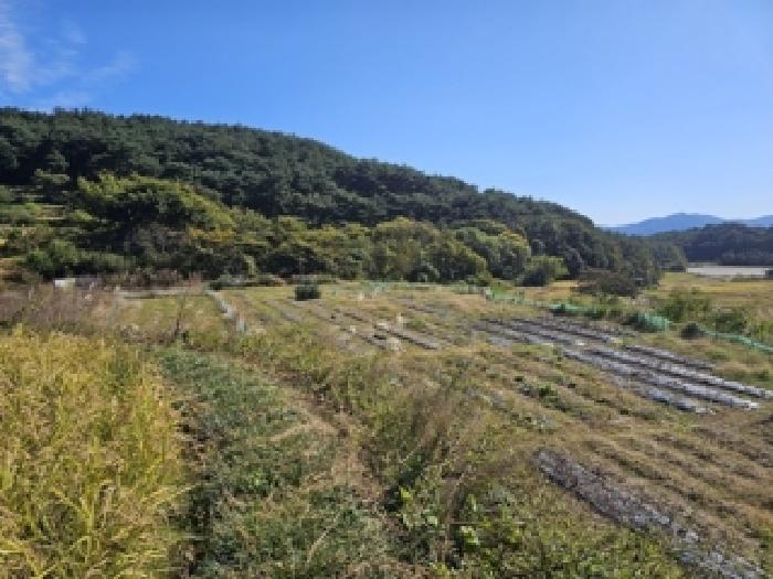 사진 03