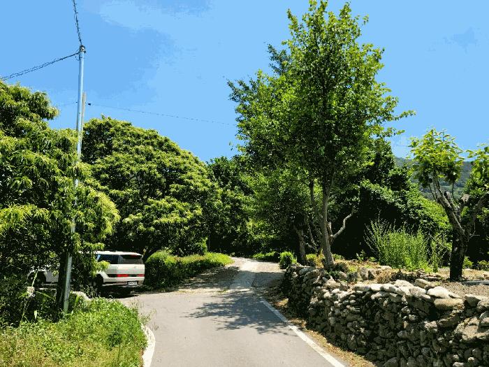 사진 04