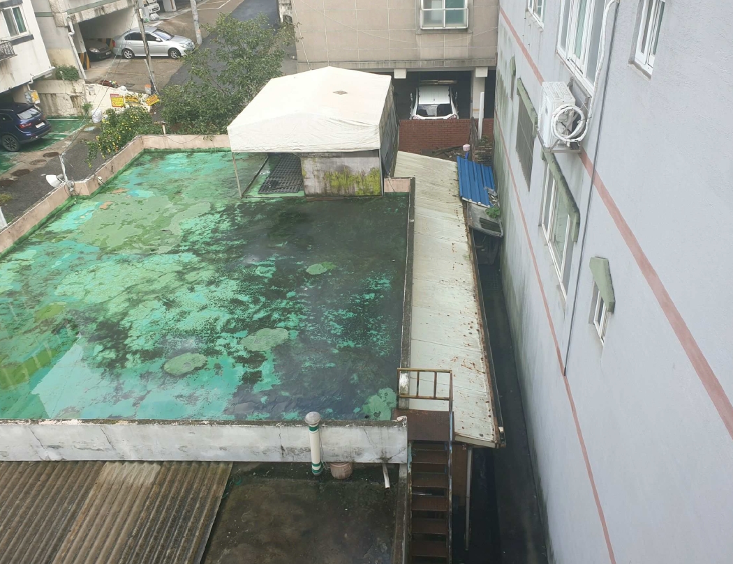 사진 05