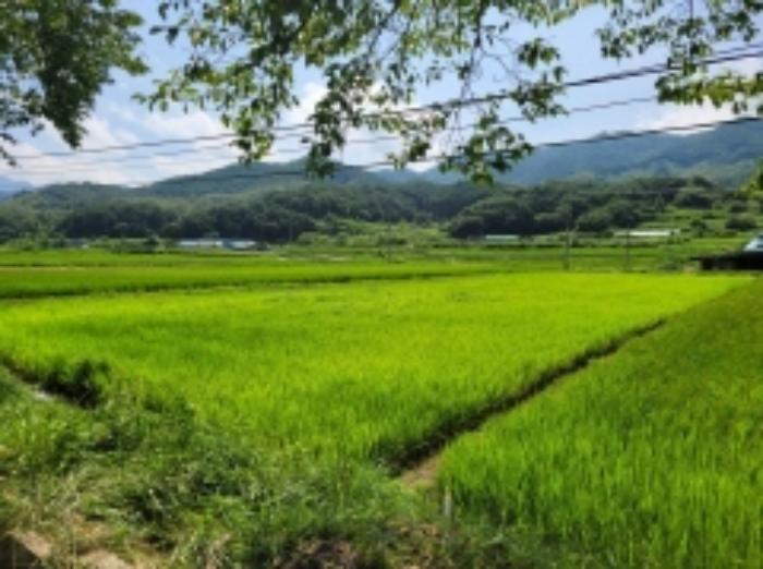 사진 08