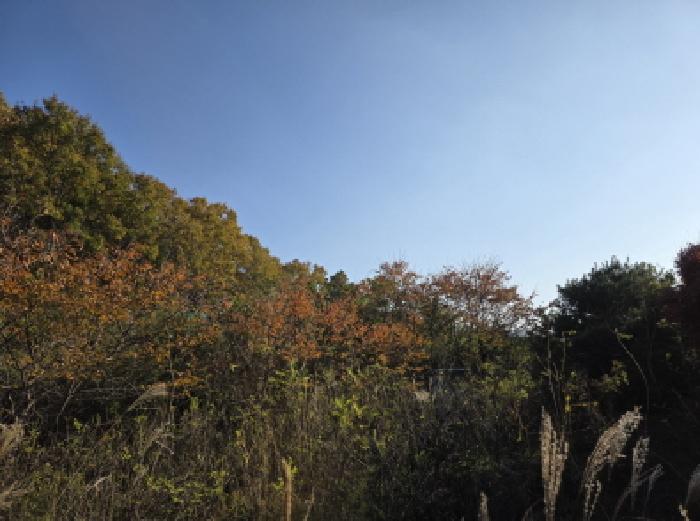 사진 05