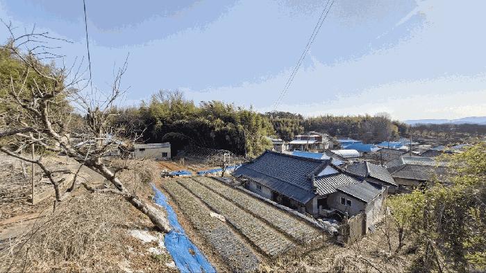 사진 02