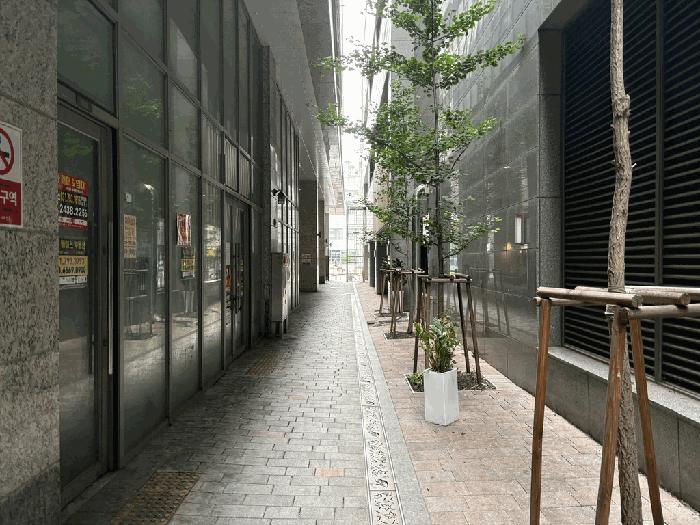 사진 05