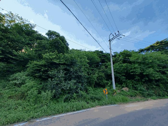 사진 03