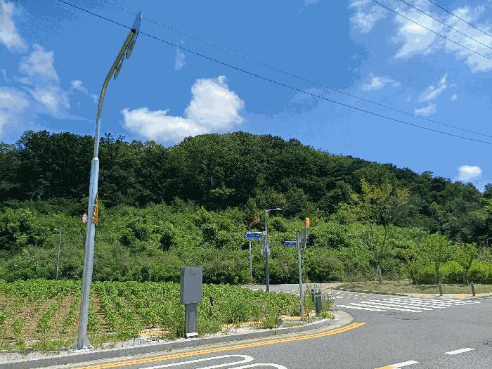 사진 06