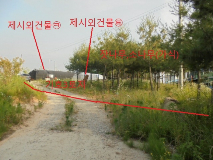 사진 07