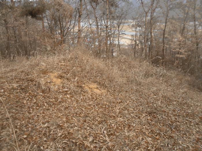 사진 05