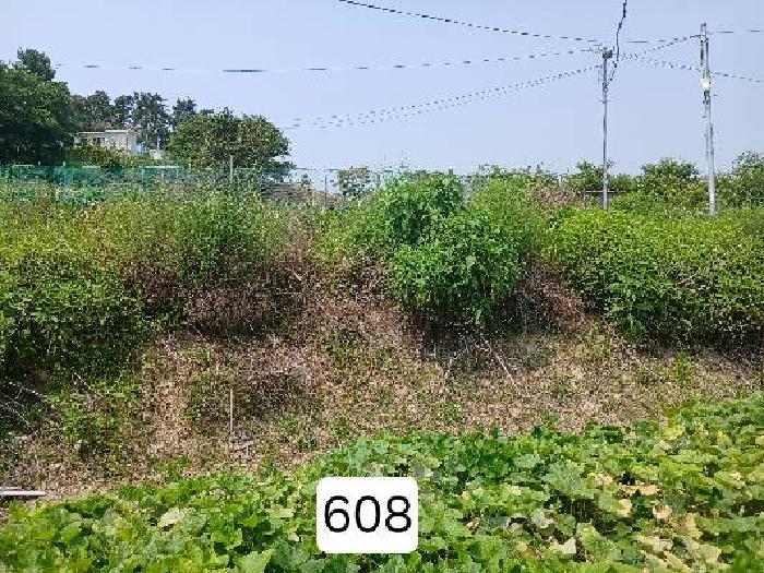 사진 04