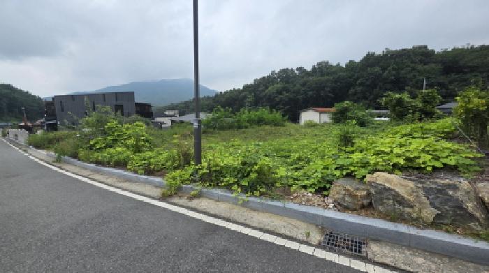 사진 03