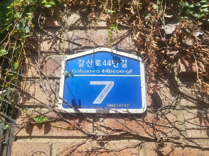 사진 08