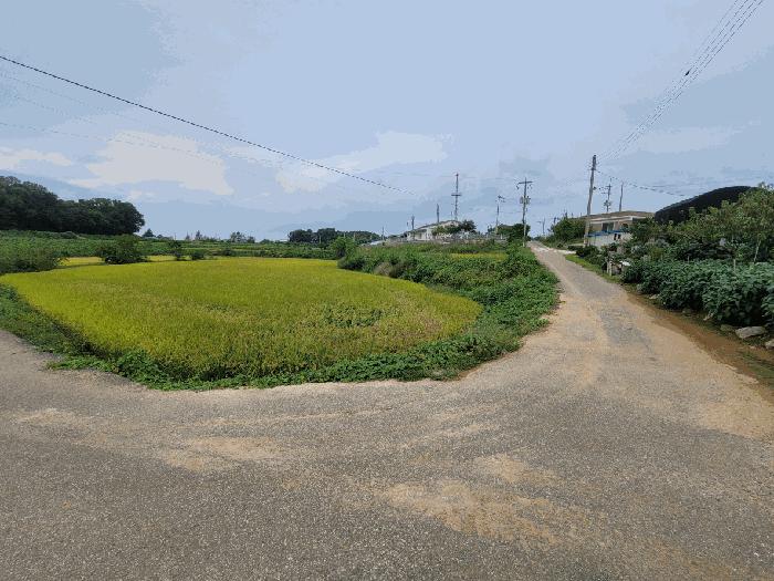사진 07