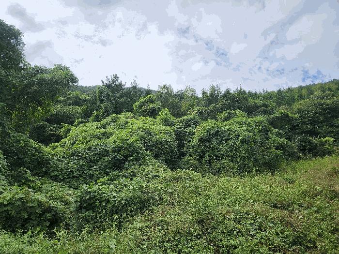 사진 06