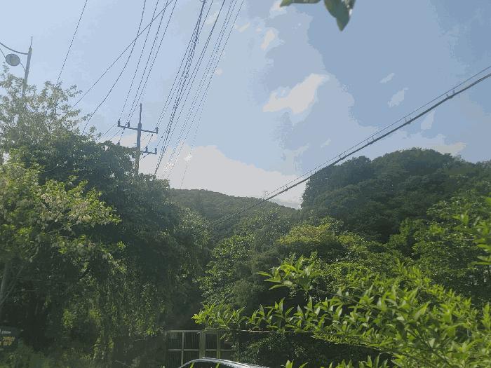 사진 03