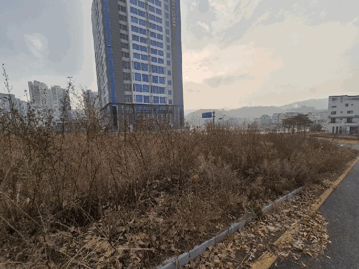 사진 05
