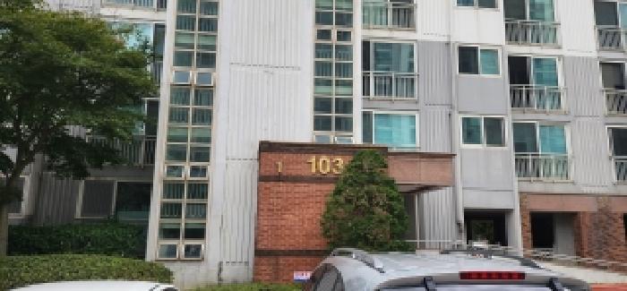 사진 01