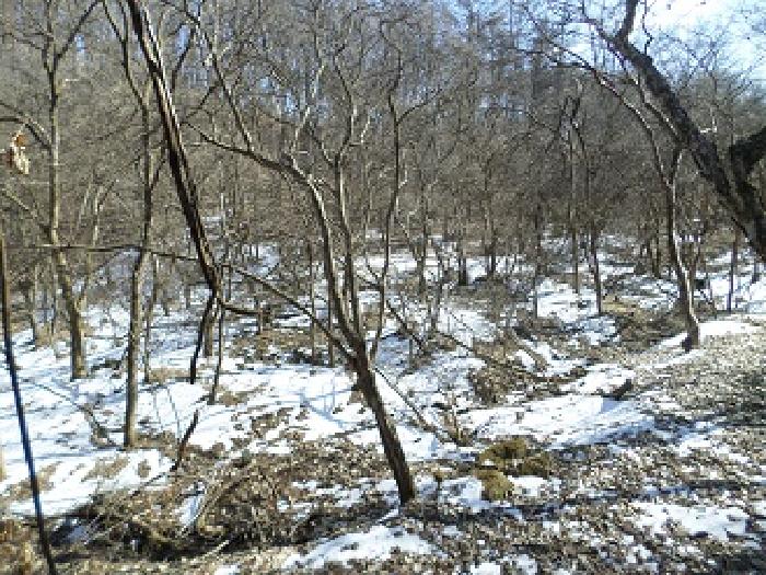 사진 08