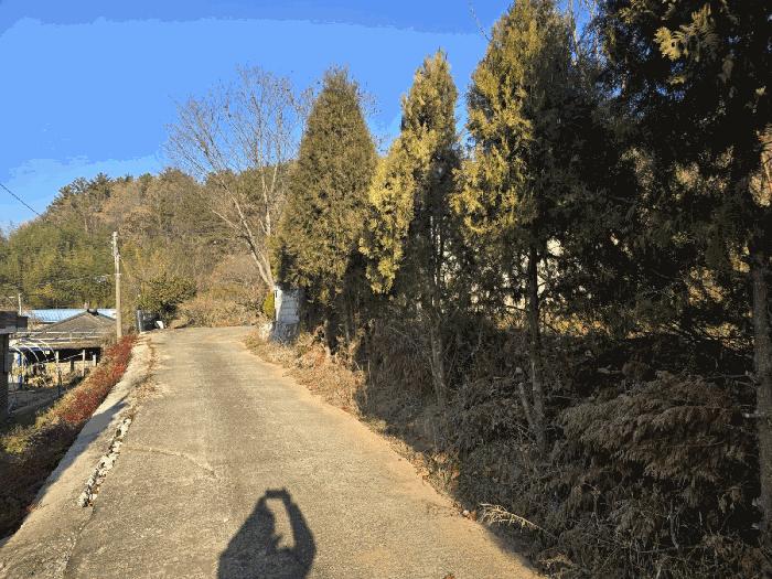 사진 08