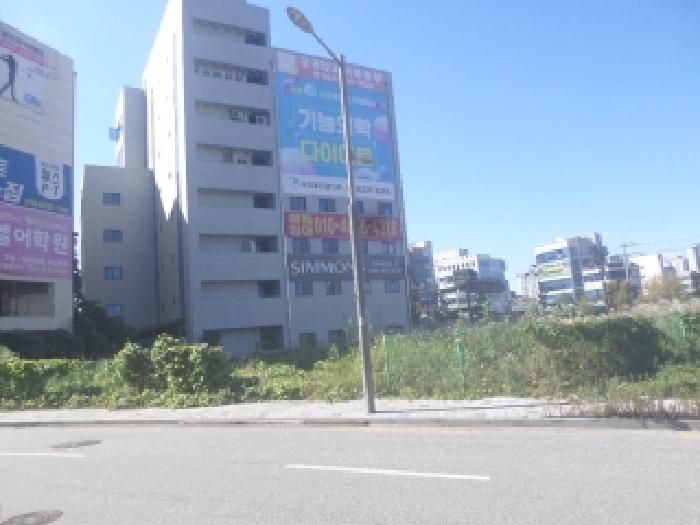 사진 01