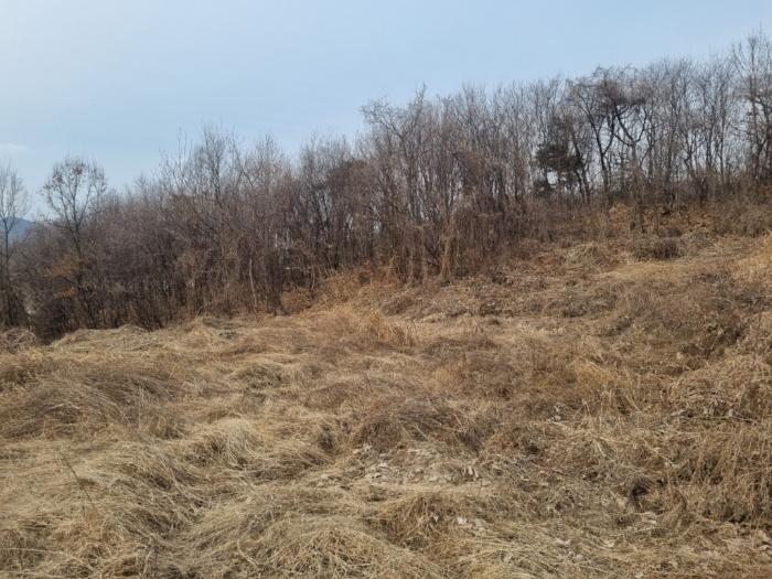 사진 06