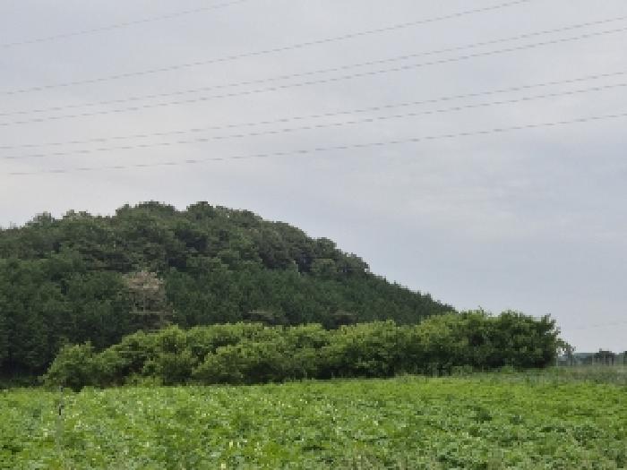 사진 06