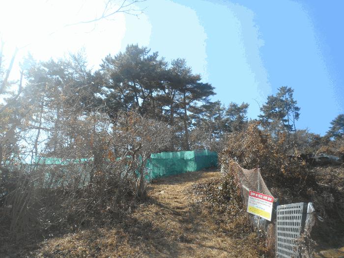 사진 06