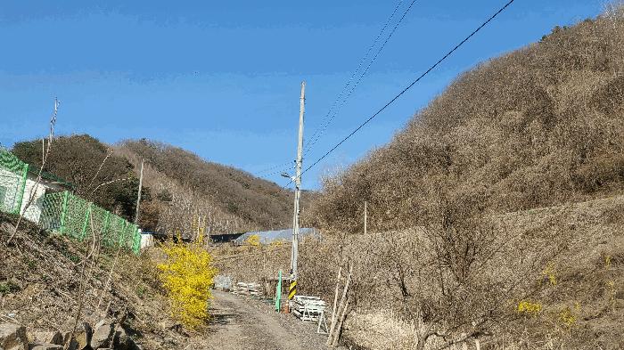 사진 05
