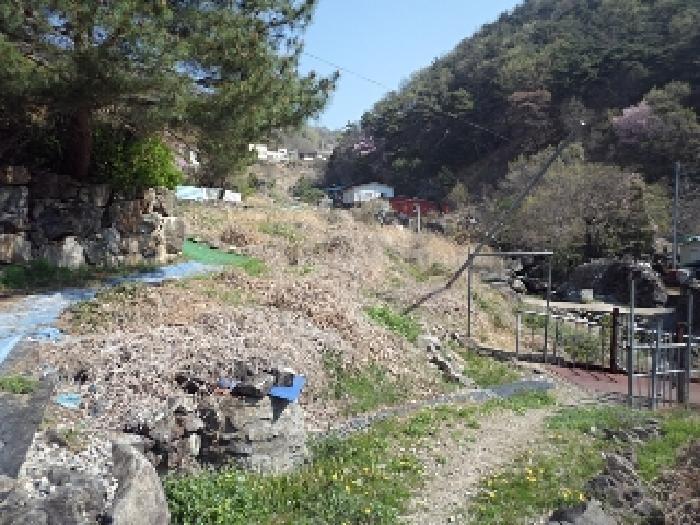 사진 07