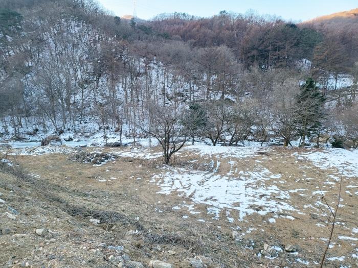 사진 03