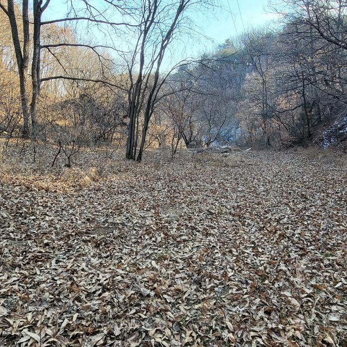 사진 04