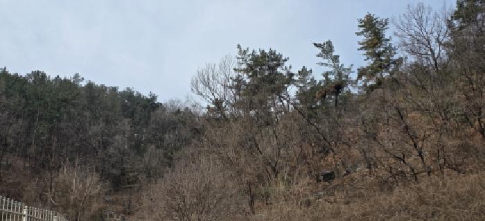 사진 02