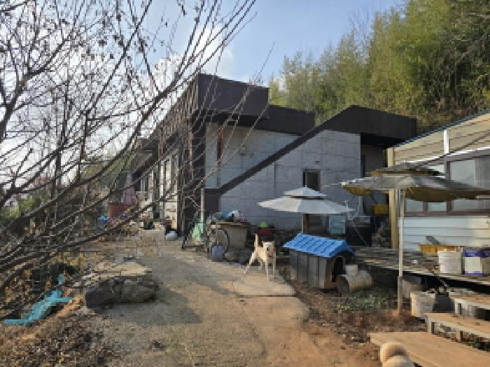 사진 05