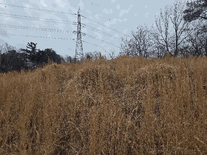 사진 06