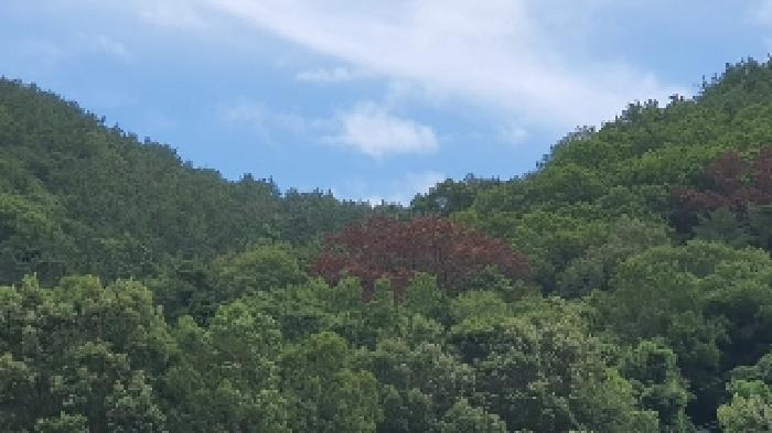 사진 04