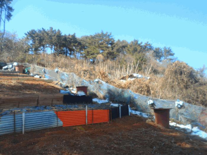 사진 04