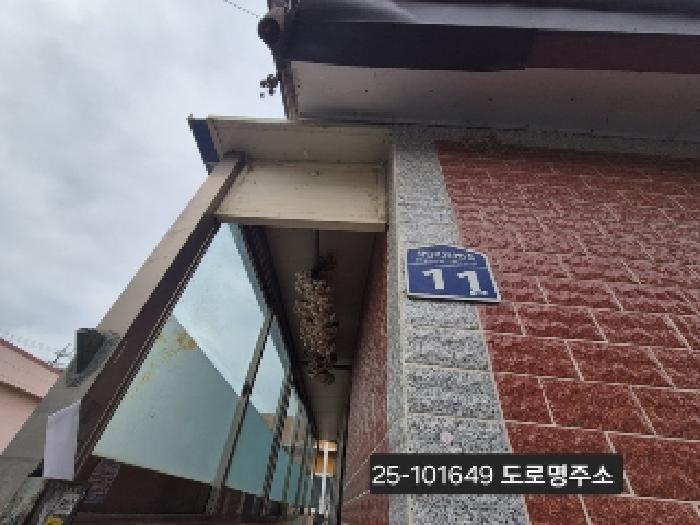 사진 05