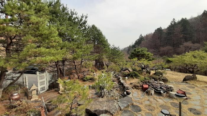 사진 08