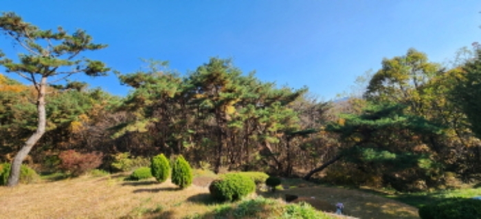 사진 06