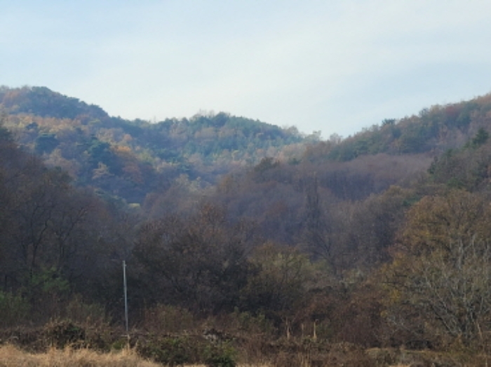 사진 02