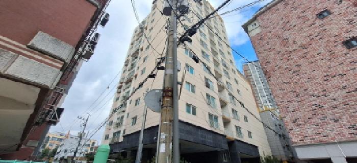 사진 01