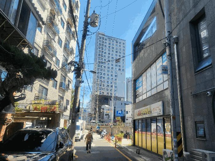 사진 03